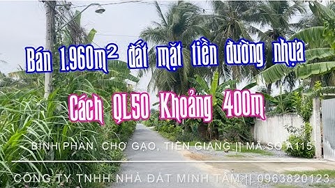 A115 || Bán 1.960m2 đất vườn đường nhựa gần QL50, giá 2,5 tỷ ở Bình Phan, Chợ Gạo, Tiền Giang