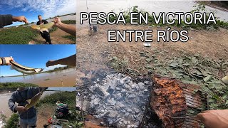 Pesca con amigos en Victoria, Entre Ríos. Mucho pique. Pesca y cocina. pesca pescaycocina viral