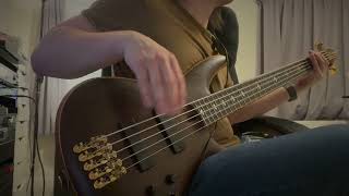 Damian Marley - Everybody Wants To Be Somebody (bass cover)