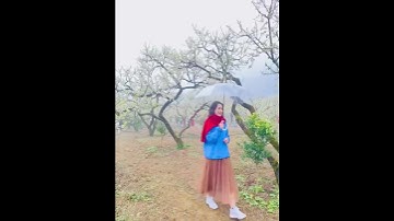 Lạc vào nơi Tiên Cảnh trên hạ giới | Lost in a fairyland on earth