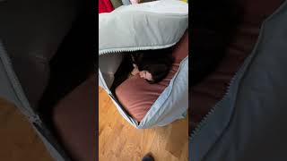 POV: Sleeping INSIDE A BIG BACKPACK #shorts