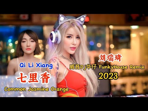 刘瑞琦 - 七里香 - (威音Dj华仔 FunkyHouse Remix 2023) - Qi Li Xiang - Common Jasmine Orange #dj抖音版2023