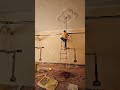 Wiring Up Pansy Emporium! ⚡| Showroom Build Series | Gurugram | Day 6