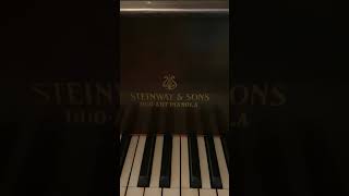 Steinway Duo Art
