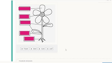 Schoology: Label Image