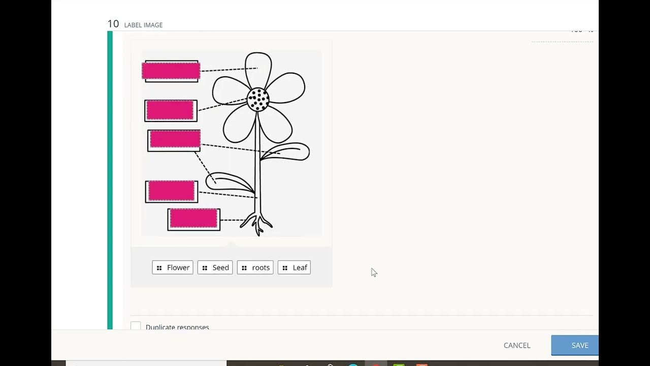 Schoology Label Image YouTube