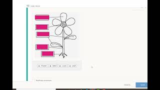 Schoology: Label Image