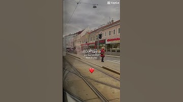 اللهم اجعل القران الكريم شفيعاً لنا يوم القيامة و مؤنساً لنا في وحشة القبر🤲