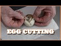 Combo bamboo het clown ball pythons egg cutting