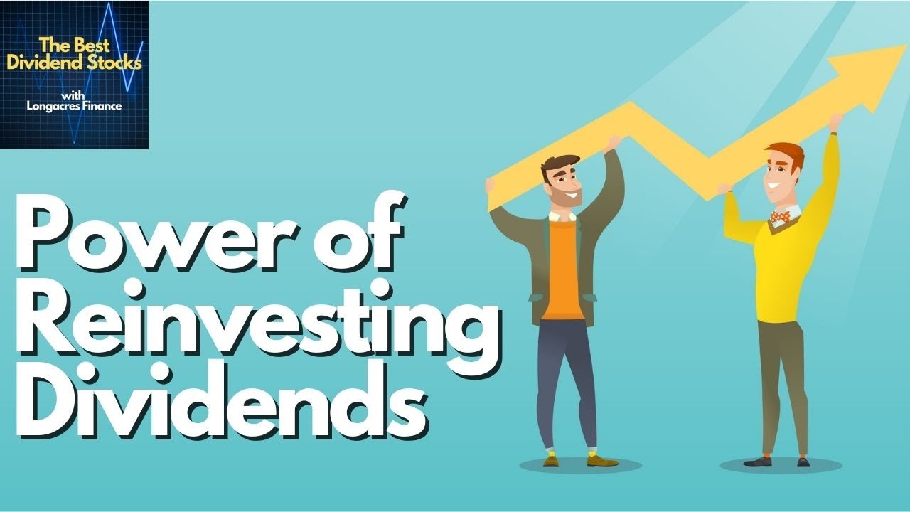 The Power of Reinvesting Dividends How to Grow Your Dividend