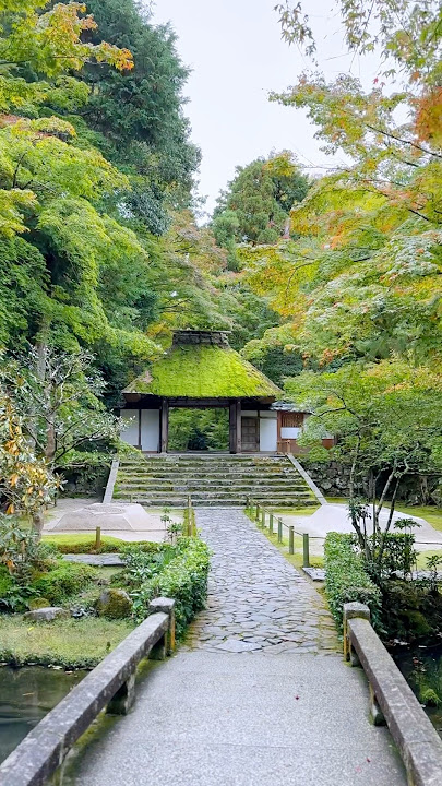 Autumn in Kyoto, fall colors at Honen-in, Anrakuji temple & Philosopher's path #kyoto #japan #travel