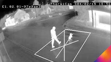 Enhancing Traffic Flow with FLIR Thermal Sensors | Hamburg, Germany