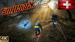 Singletrack de folie❤️ #vtt #mtb