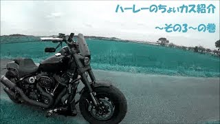 19 №83　ハーレーのちょぃカス紹介～その3～の巻