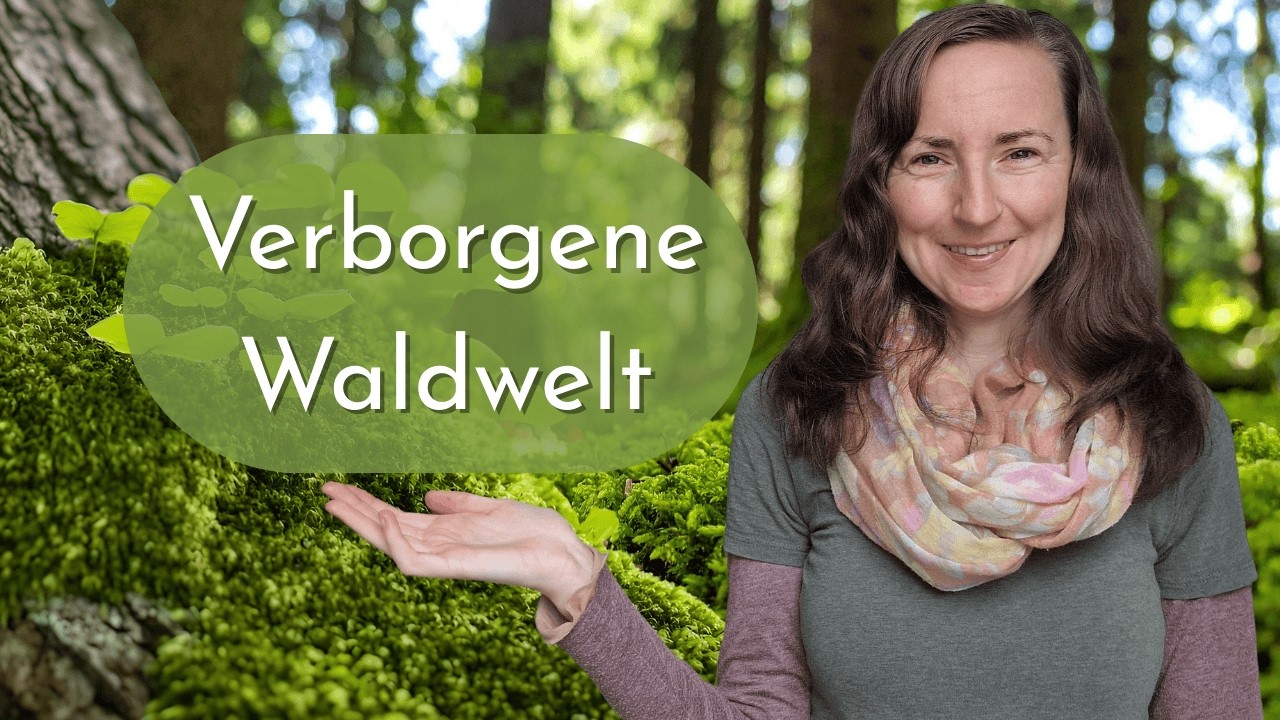 Das sagt dir niemand über den Wald