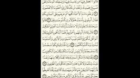 سورة البقرة الصفحة رقم 6 _ الورد اليومي من القران الكريم _ الجزء الاول