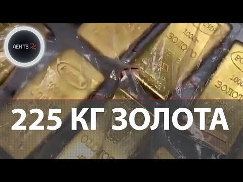 Слитки с золотом на 800 млн рублей попытались вывезти в ручной клади во Внуково | Груз летел в Дубай