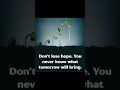 Even a tiny seed needs time to grow. 🌱 #successmindset #quotes #inspiration #motivation #stayfocused