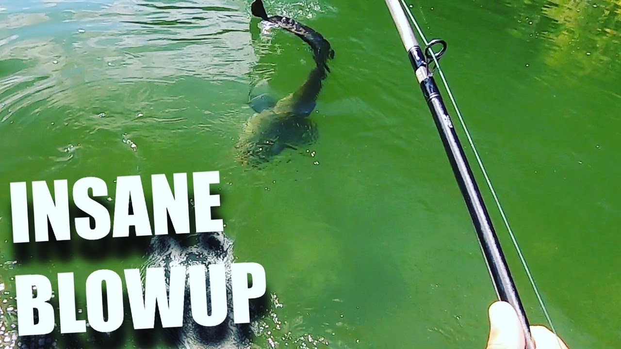 INSANE BLOWUP on the WHOPPER PLOPPER