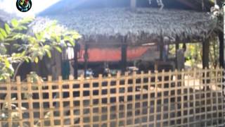 DVB -28-01-2014 ICJ