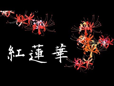【カラオケ】紅蓮華/LiSA【練習用/歌ってみた用/Instrumental】
