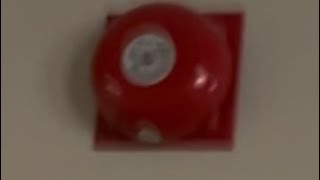 Bell Test #4: March Time!