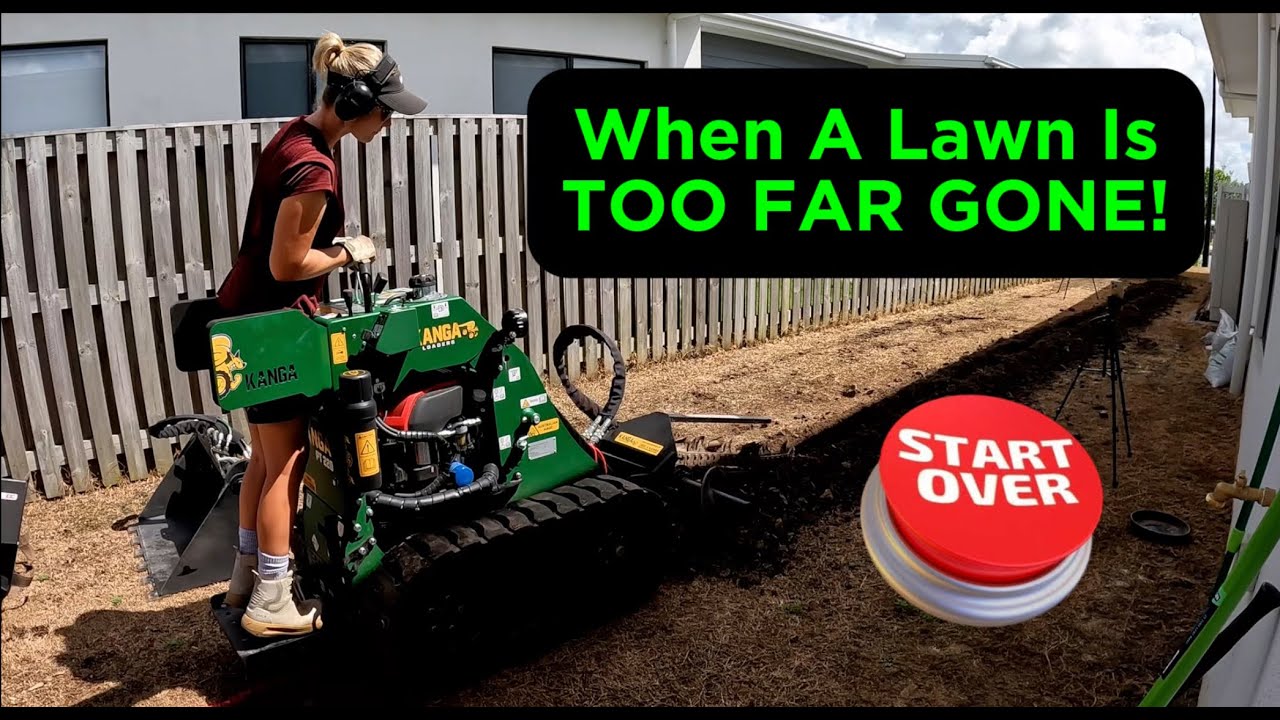 When A Lawn Is Too Far Gone // Part 1 - The Issues (Weeds, Drainage & Shade)