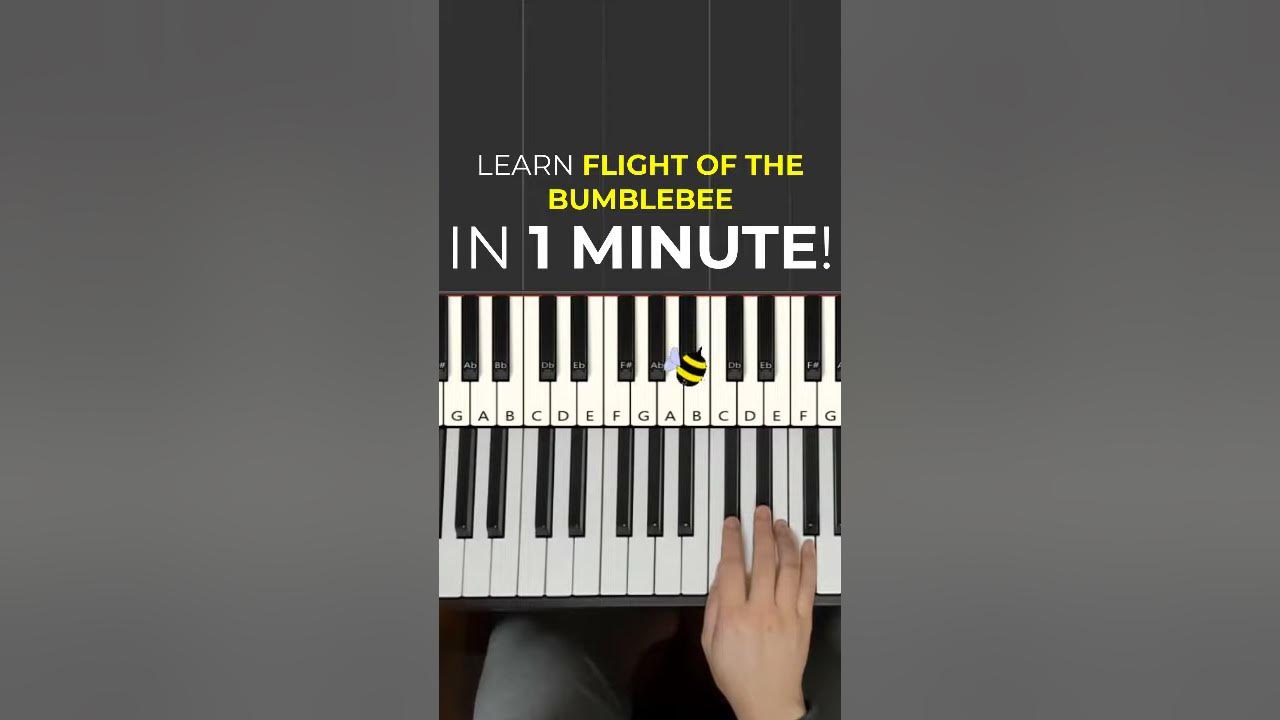 How to play Flight Of The Bumblebee on Piano in Under 1 Minute