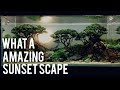 Epic sunset on aquascape  savana bonsai by nickz aquascape