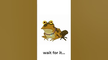 Hypnotoad: The Most Popular Show on TV!