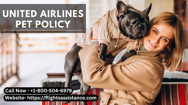 How to fly with your cat/dog on United Airlines || United Airlines Pet Policy