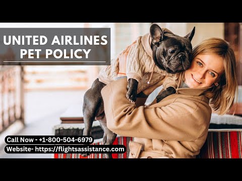 Video: United Airlines suspende perros voladores en carga