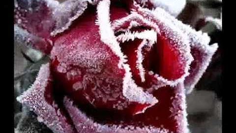 Thumbnail of Стас Михайлов   мир без тебя