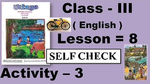 Class 3 Wings, Class three, Lesson 8, English, Self Check, Activity 3 Answer Solved, Wings Book, WB