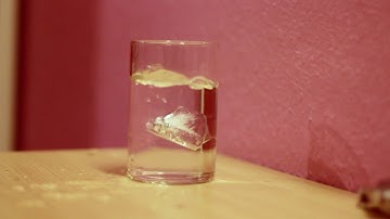 Ice Cube Drop in Slow motion