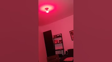 Falla  yeelight se queda parpadeando