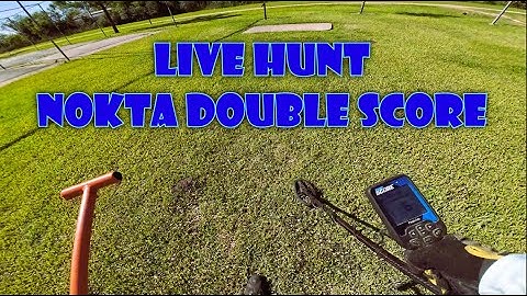 Nokta Double Score Field Hunt