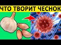 Свойства ЧЕСНОКА, о Которых Вы НЕ ЗНАЛИ! Зубок Чеснока Запускает Необратимый Процесс...