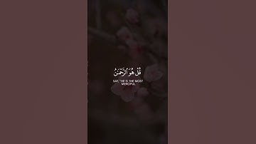 ايات السكينة والطمأنينة وراحة البال قران ايات قرانيه تلاوه مريحة للنفس