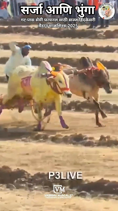सर्जा आणि भुंगा गट पास सेमी फायनल साठी सज्ज हिंदकेसरी मैदान माळशिरस 2025 #bakasur