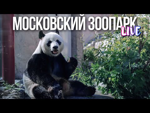 Центр Москвы – осень в Московском зоопарке