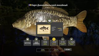 видео: ЗА РАЗДАЧАМИ НА МЕДНОМ И ЯНТАРНОЕ ОЗЕРО В РУССКОЙ РЫБАЛКЕ 4 СТРИМ картинка: ЗА РАЗДАЧАМИ НА МЕДНОМ И ЯНТАРНОЕ ОЗЕРО В РУССКОЙ РЫБАЛКЕ 4 СТРИМ