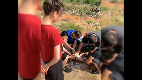 Tiktok Trung Quốc | Những Khoảnh Khắc Hài Hước  Triệu View Trên Tiktok Trung Quốc