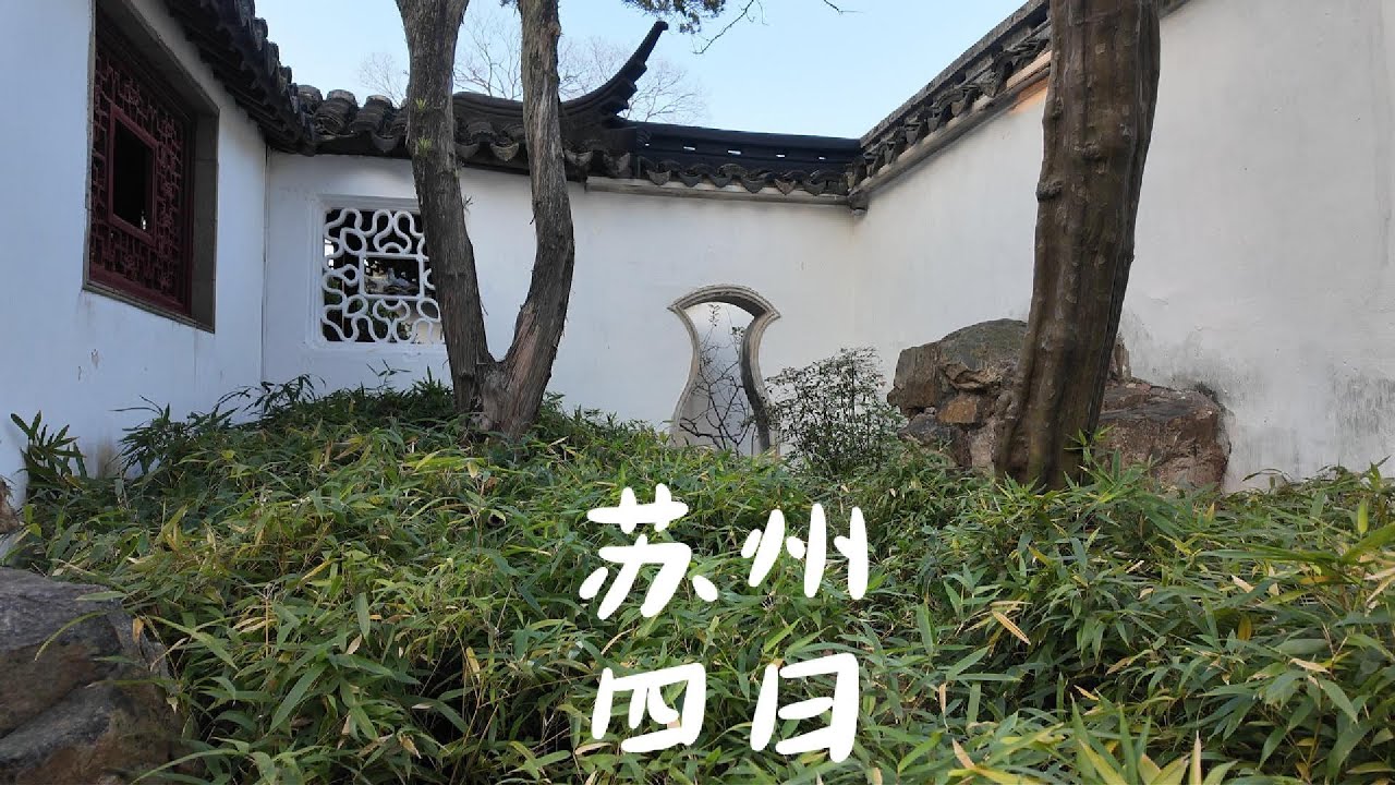 24年冬天我第一次来苏州 4 DAYS IN SUZHOU, CHINA - 2024 winter：清晨的平江路、山塘路的七只狸、虎丘的斜塔、古籍中的苏州园林、水乡灵魂犹在的黎里古镇、茶馆里的评弹