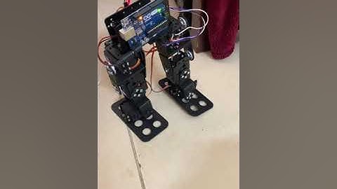 Biped Walking Robot - Project assignment for Skyfi Labs online course by Raiyan,Thoufeeq ,Melbin