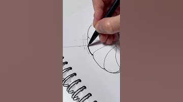 Gramophone | Multiliner Sketch | ASMR