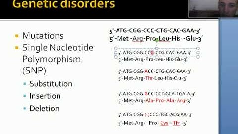 Mexicoder bioinformatics -  Session 2.5   Genetic disorders and SNPs