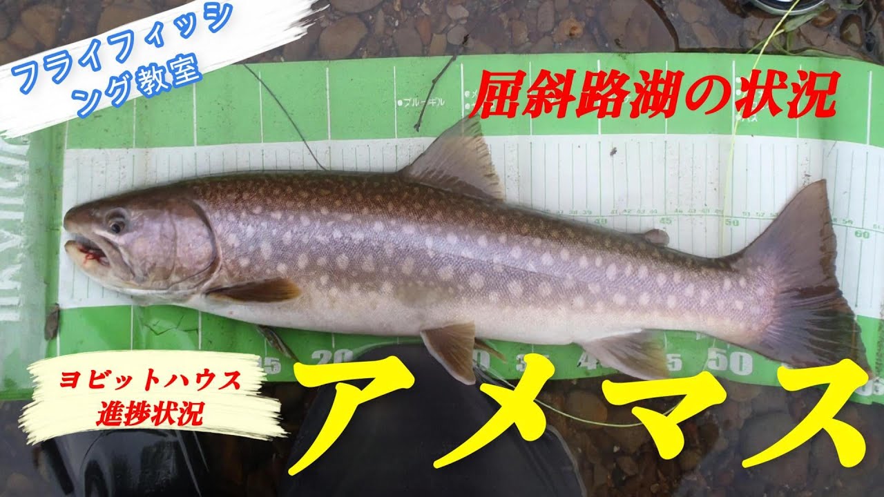 フライフィッシング教室と屈斜路湖・川とヨビットハウス