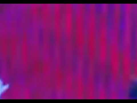 The 