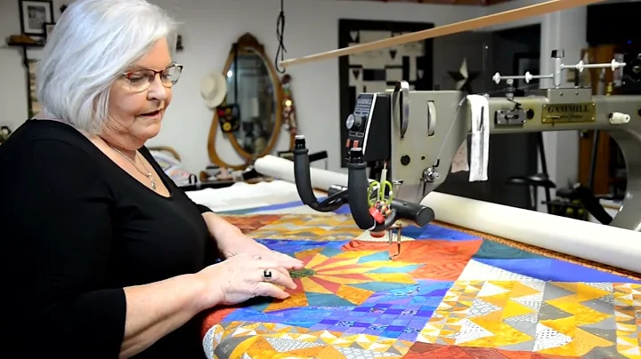 Diane Carson is first quilter named Dinner feature...